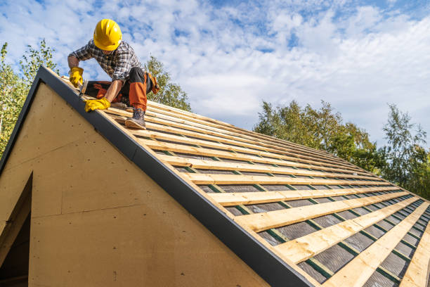 Best Storm Damage Roof Repair  in Lutz, FL